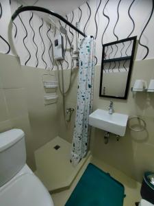 达沃市Casa Felicitas 2的一间带卫生间、水槽和镜子的浴室