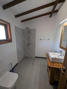 基林德Kirinda Heaven - Yala的浴室配有卫生间、盥洗盆和淋浴。