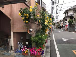 东京新宿の家-畳み3人部屋的建筑物边的一束鲜花