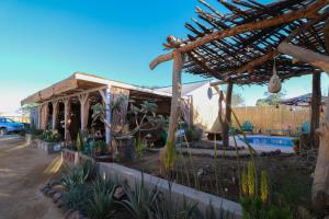 UisThe Desert House的一座带植物和游泳池的花园的房子
