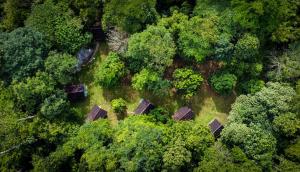 TimbanglawangWild Camp的享有森林的顶部景色,森林有树木和建筑