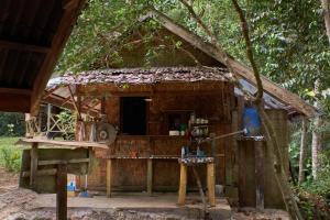 TimbanglawangWild Camp的森林中间的小房子