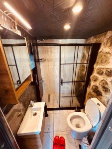 里泽Greenlife Dağevleri的带淋浴、卫生间和盥洗盆的浴室