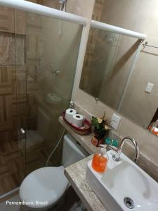卡马拉吉贝Florcamará POUSADA的浴室配有卫生间、盥洗盆和淋浴。