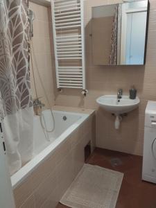 萨格勒布Apartment City的带浴缸和盥洗盆的浴室