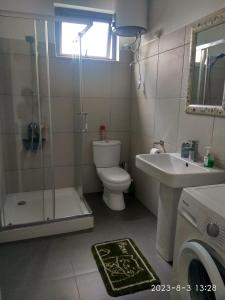 拉戈莱特APPARTMENT( LA PAPAYA)的浴室配有卫生间、盥洗盆和淋浴。