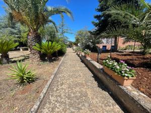 洛科罗通多优埃塞拉度假屋的花园中种有植物和棕榈树的步道
