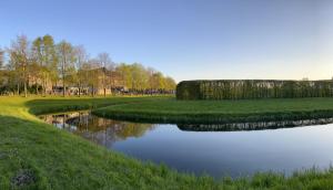 居斯特罗施罗斯公园酒店的草木公园里的池塘