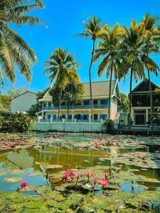 琅勃拉邦Sadakham Hotel的棕榈树的房子和花粉池塘