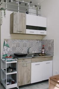 SopotTiny House Kosmaj的厨房配有白色橱柜和水槽