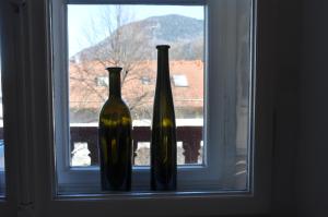 基姆高地区阿绍Top-Appartement direkt an der Kampenwandbahn的两瓶花坐在窗台上