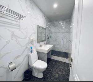 扎托卡Kovcheg Hotel的白色的浴室设有卫生间和水槽。