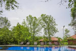 锡吉里亚Foresta Resort Sigiriya的一个带椅子和树木的度假村游泳池