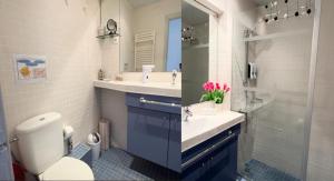 桑特费柳德吉克索尔斯La Casa De Papou I的一间带卫生间、水槽和镜子的浴室