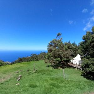 TábuaArambha Ecovillage Permaculture Farm的山丘上的帐篷,背靠大海