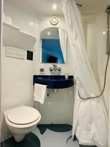 热克斯Hôtel Gex的一间带卫生间和水槽的浴室