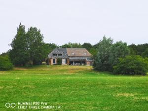 EpseThe nicest farmhouse in Holland!的绿色田野中的房屋