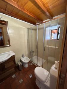 GenovésCasa Rural Los Barros的带淋浴、卫生间和盥洗盆的浴室