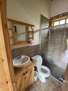 昆卡The Hideout- A Cabin in Nature; 25 min from Cuenca的浴室配有卫生间、盥洗盆和淋浴。