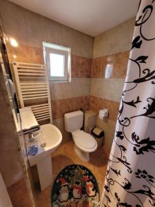 布朗Vila Denisa的一间带卫生间和水槽的小浴室