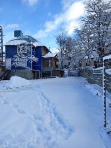 乌斯怀亚hostel comunidad Ushuaia的蓝色房子,地面上有雪