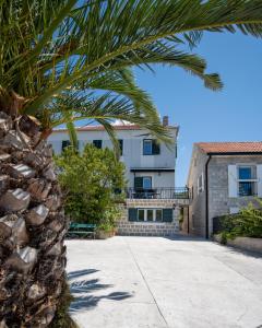 蒂瓦特Casa di Lukovic的一座建筑前的棕榈树