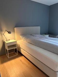 特隆赫姆Ny og flott leilighet i Trondheim的一间卧室,配有一张床和床头灯