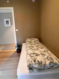 特隆赫姆Ny og flott leilighet i Trondheim的一间位于地板的房间的卧室,配有一张床