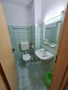 沃利乌格乡Randunica的一间带卫生间和水槽的浴室