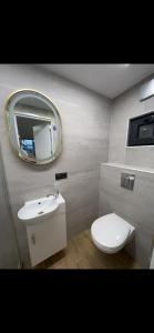 基希讷乌Monaco的浴室设有白色的卫生间和镜子