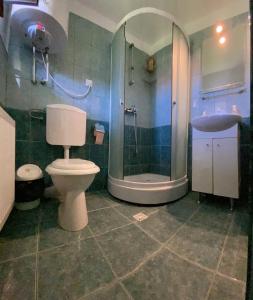 克尔茨什瓦拉乡Casa Popa的浴室配有卫生间、淋浴和盥洗盆。