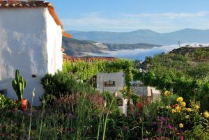 TurónCortijo Los Maximos的享有山丘上鲜花盛开的花园美景