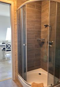 内克瑟Apartamenty Golf Dyndeby的浴室里设有玻璃门淋浴