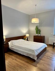 波兹南普瑞兹莱库公寓的一间卧室配有一张大床和盆栽植物