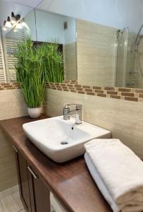 波兹南普瑞兹莱库公寓的浴室设有白色水槽和镜子