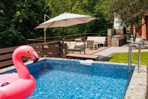 布朗Pensiunea Tanita的游泳池里的粉红色火烈鸟和遮阳伞