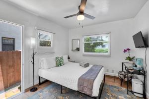 圣巴巴拉Cactus Room - Private Entrance的一间卧室配有一张床和吊扇