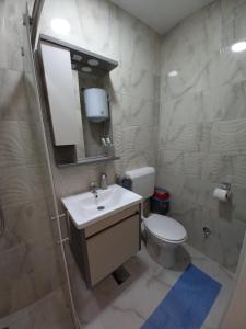 布尔奇科Sweet home的浴室配有卫生间、盥洗盆和淋浴。