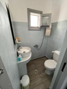 富尔尼群岛Pandaisia Φούρνοι Κορσεων的一间带水槽和卫生间的小浴室