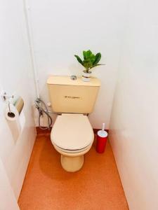 拉巴特Appartement Cosy quartier chic de Rabat的浴室设有卫生间,上面有植物