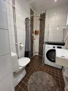斯德哥尔摩Fresh And Cozy Little House 45km In Täby的一间带卫生间和洗衣机的浴室