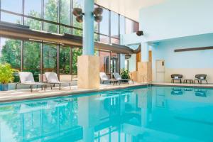 陶森北巴尔摩喜来登酒店的游泳池,带椅子和窗户