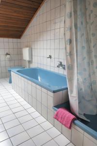 申贝格Ferienwohnung Degner的浴室设有蓝色的浴缸和淋浴帘。
