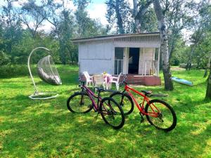 MohylivOrelskyi Dvor的三辆自行车停在棚前的草地上