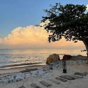 波德申Solesor Kampong Beach Resort的沙滩上的一棵树,与大海