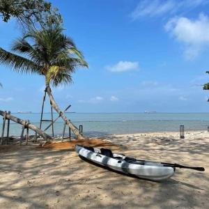 波德申Solesor Kampong Beach Resort的棕榈树的海滩上的皮艇