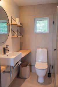 KullavikMalevik Tiny House的一间带卫生间、水槽和镜子的浴室