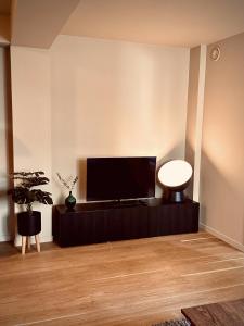 奥斯陆Magnificent Modern Apartment Central Oslo的客厅设有壁挂式平面电视。