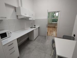 华沙VasylOk的白色的厨房配有水槽和微波炉