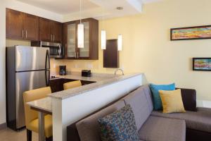 奥兰多奥兰多市中心原住客栈的厨房以及带沙发和冰箱的客厅。
